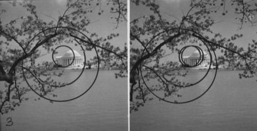 The Jefferson Memorial, Cherry Blossom Time. Wash., D.C