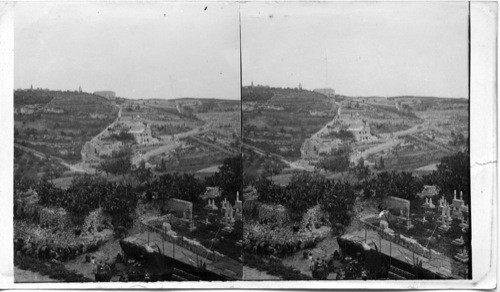 Garden of Gethsemane and Mt. of Olives from Eastern Wall Palestine