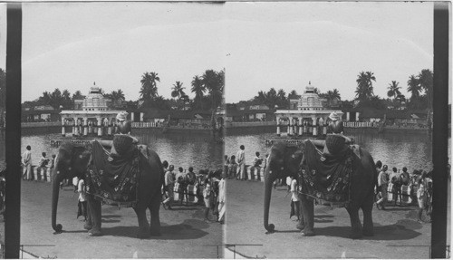 Festival of the Raft to the God Vishnu. Madura, So. India