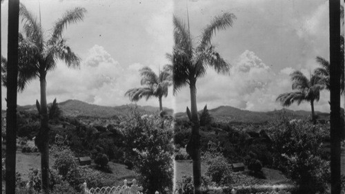 Natives Fascinated by the Fierce and Magnificent Sight of Volcanic Eruption, Gros Morne, Martinique. F.W.I