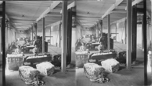 Opening and scratching room, Inca Cotton Mill Co. Lima, Peru