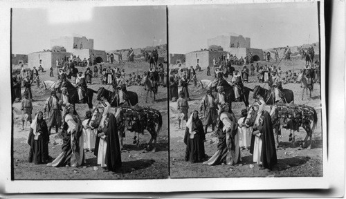 El Raschid, Chief of the Bedouin, and His men - Jerusalem Palestine