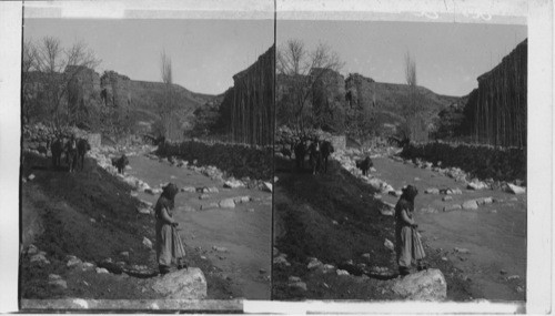 The Water City of Rabbath Ammon, East-N. East Along the Jabbok to the Aeropolis, Palestine