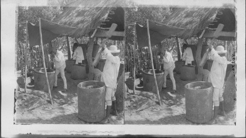 Crude method of husking coffee at Amatlan near Cordoba. Mexico