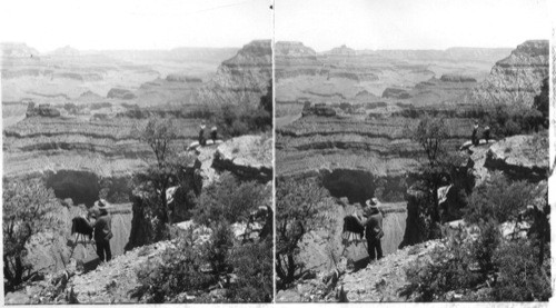 In the Grand Canyon, Arizona