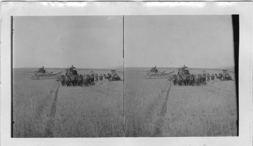 Western wheat field. Idaho (?)