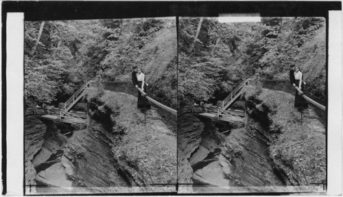 Shadow Gorge - looking east above platform stairs. Watkins Glenn [Glen]. N.Y