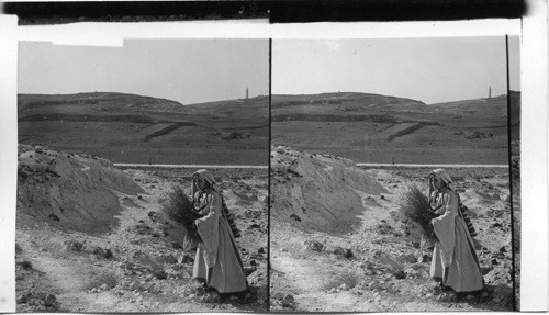 Site of priestly town of Nob, north of Jerusalem, outlook east to Olivet, Palestine