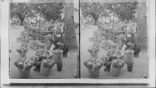 A fruit market in Cordoba (State of) Vera Cruz. Were 100 bananas are sold for 8 cents. Cordoba, Hot Lands of Mexico. Mexico. Fruit sellers with neatly arranged baskets in Cordoba Market, Mexico