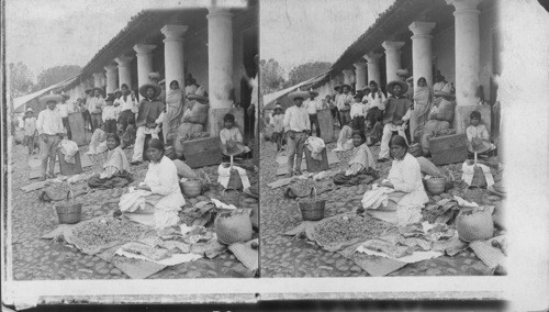 Native Indian Market. Omealca, Mexico