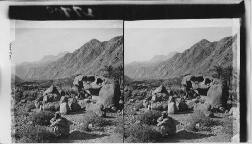 Resting in the Sinai Wilderness, Egypt