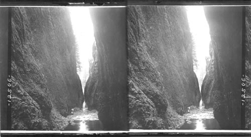 Oneonta Gorge. Columbia River