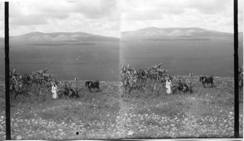 From Gilboa to Morch over Valley of Jezreal. Palestine, Asia