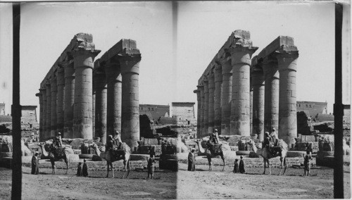 The Grand Colonnade of the Temple of Luxor Egypt