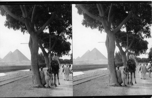 The Road to the Pyramids, Cairo, Egypt