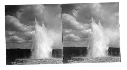 Mammoth or Great Fountain Geyser in Eruption, Firehole Basin