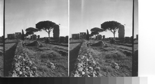 The Appian Way. Rome