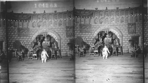 Ferrar's Wild and Trained Animals. Jamestown Exposition. Virginia