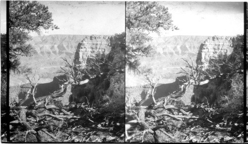 Looking south from Cape Royal (on north rim) to Precipice Point and Angel Window (Hole in Rock) at right. Colorado River looking at the big bend of the Colorado. Box 34-6