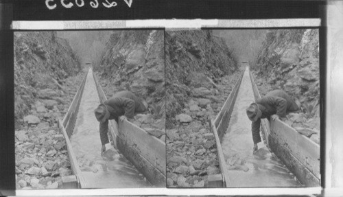 The flume 3 miles long and quick silver proof, where the gold and gravel settled. Oregon