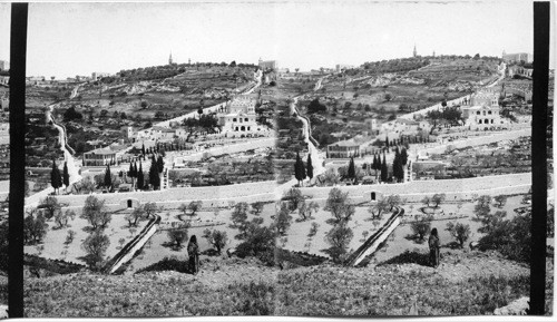 Garden of Gethsemane and Mount of Olives from Eastern wall - Jerusalem. Palestine