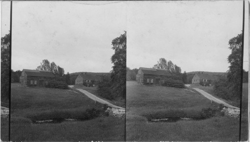 An Abandoned Farm in N. H