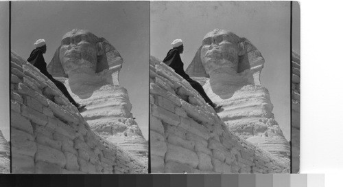 The Sphinx from below Gizeh, Egypt. Majestic in the morning light. The inscrutable Sphinx guards Kephrin's tomb. Gizeh, Egypt. T.N.T. enclosure