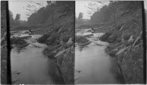 A Pa. Trout Brook. Wayne Co., Penna