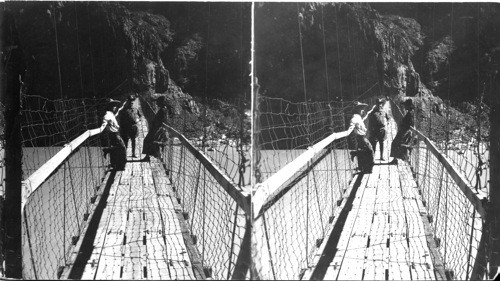 Looking S.E. thru the Kaibab Suspension Bridge, over Colorado river, bridge 407 ft. long - elevation 2500 ft. built in 1921. Grand Canyon, Ariz. Why does your check marks all these samples: Colorado? The bridge was in constant motion & I should have taken off the filters so as to give more exposure to film - this is underexposed - softer paper might improve this