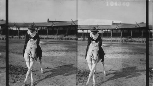 High School Horse, ridden by Miss Somerville, 101 Ranch Show. Jamestown Exp. Virginia