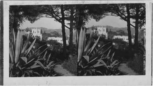 Bardoe Villa from Gov. summer Palace, City of Algiers, Algeria