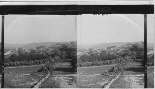 Cana of Galilee, Palestine