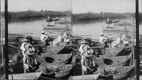 Market Boats at Tampico, Mexico