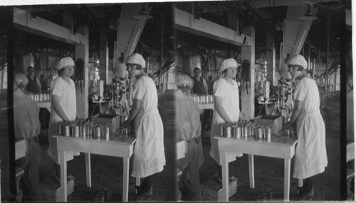 Filling the Cans with Beans No. 45 Cannery, Wellington, Ont