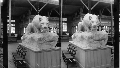 King of Cats, Shoe and Leather Department, Columbian Exposition. Chicago, Ill