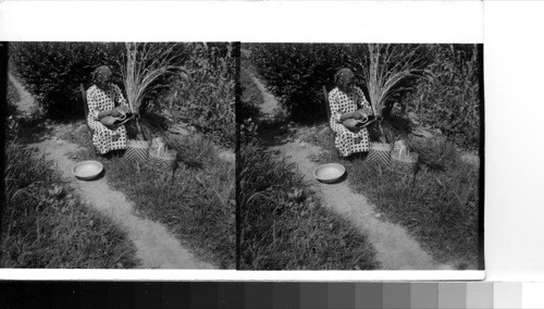 Near Cherokee, N. C.: A Cherokee Indian Woman is a maker of fine baskets. She lives on the Qualla Reservation which is located in the great Smokies National Park. These people cut their material in the surrounding forests from young saplings and then slip it into the proper width and thickness. They make the dyes from native vegetation