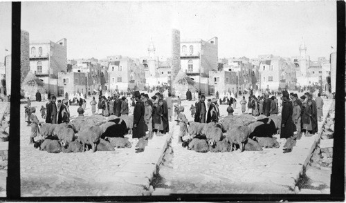 A street in Bethlehem - Palestine