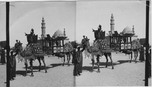 Arab wedding Carriage Cairo Egypt