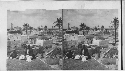 Lydda, the Old Testament “Lod,” Palestine — Calisphere
