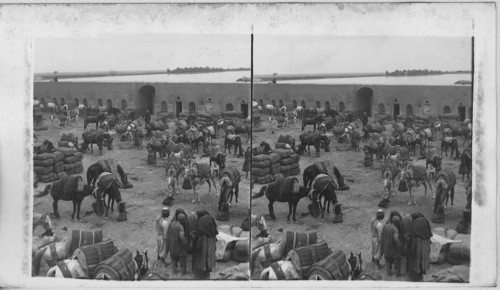 The Largest Khan or Inn at Feluja on Euphrates. Mesopotamia, Asia