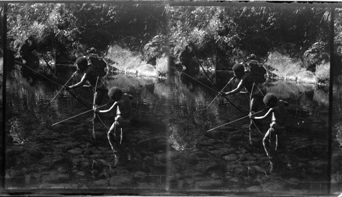 Negritos Shooting Fish, Philippines