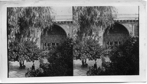 The Beautiful shaded court of a Jewish Home in Damascus, Syria