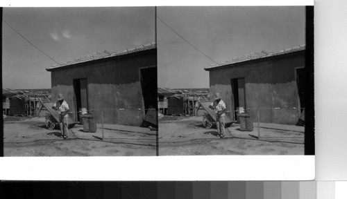 Cuba - Province of Camaguey - Nevuitas: A fisherman mends his nets at the harbor of which was formerly the big shipping port for the sugar raised on the rich lands of Camaguey Province and processed into crude sugar. The crude sugar goes by freighter to the refineries of the USA for further processing. Today these freights load at Pastilillo and Terrazza town a few kilometers farther out on the Bay of Nevuitas, but the city of Nevuitas is still remains the business center for the shipping transactions