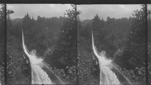 A lumber flume bringing lumber six miles from mill to railroad, Oregon