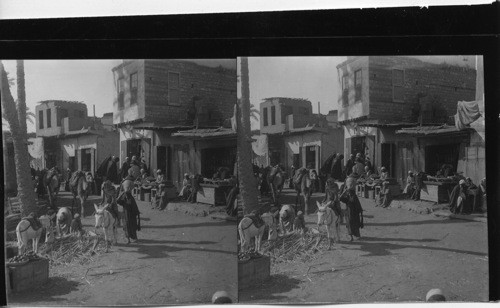 Arab Market, Probably Assuan, Egypt