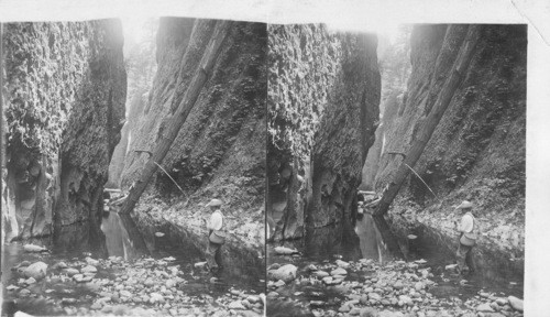 The Falls at the upper end of Oneonta Gorge, a mountain cleft near the Columbia River. Oregon