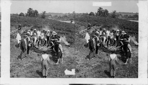 A "New England clam- bake," at the Boys Brigade summer Camp, Bay View Island. Long Island Sound . (Pres. Roosevelt's Tour)