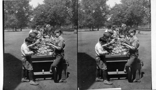 Peeling "Spuds" for Dinner, Chicago Parental School. Chicago Ill