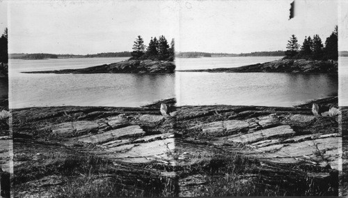 Maine Coast. Typical Maine Coast Line