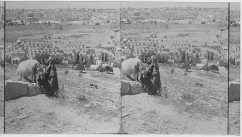 Palestine. Jerusalem from Mount of Olives